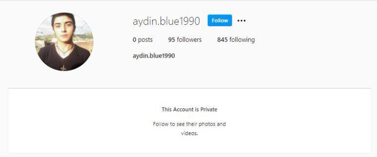 פרופיל פיקטיבי שנחשף ע''י השב''כ והמוסד