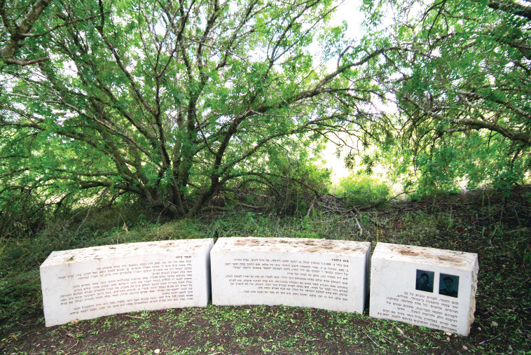 גבעת תום ותומר 