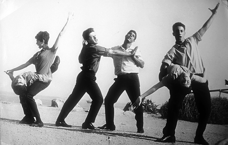 להקת התרנגולים