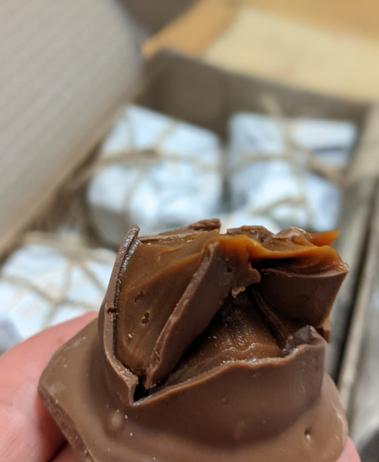 וככה נראה הקוניטוס מבפנים. שלמות