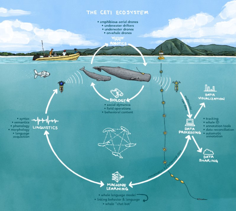 לתרשים ההדגמה של הפרויקט 