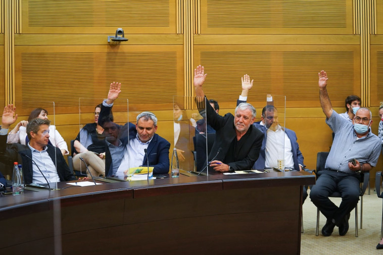 ההצבעה בוועדה המסדרת