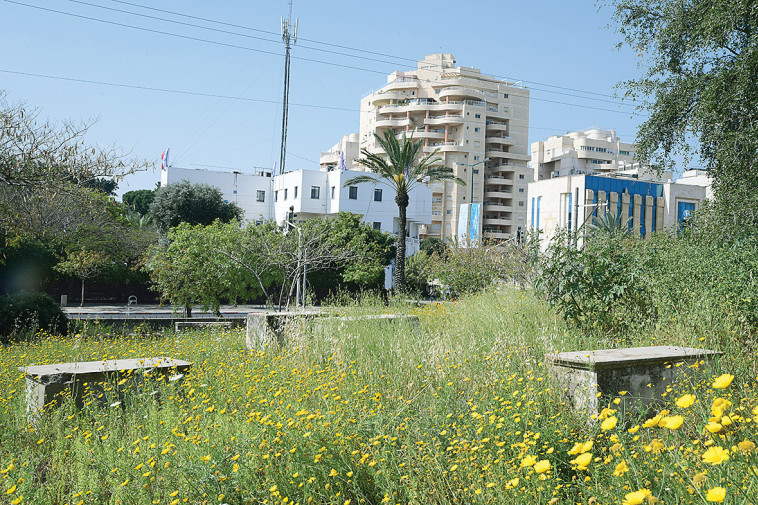 בית הקברות שייח מוראד
