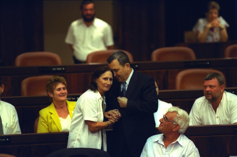 יעל דיין בכנסת (צילום: אבי אוחיון, לע''מ)