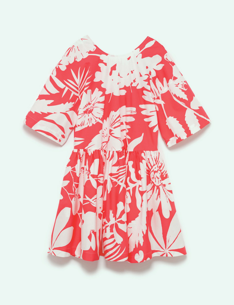 קסטרו 229 ש''ח