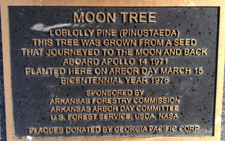 שלט שהוצב ליד אחד העצים 