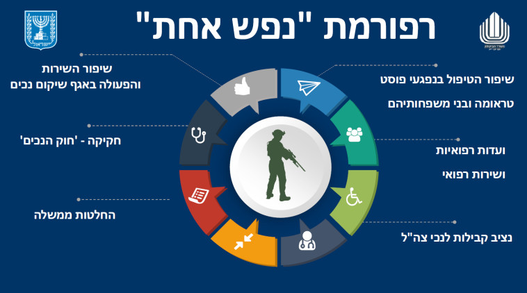 סעיפי רפורמת ''נפש אחת''