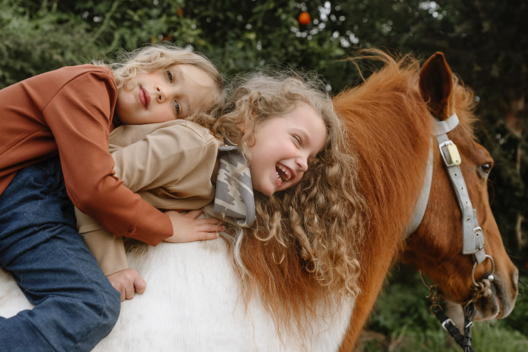 אבאל'ה ארבע