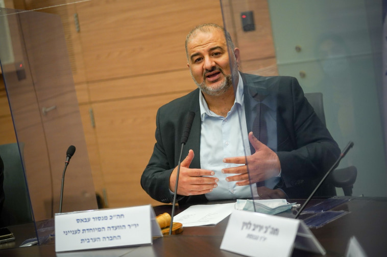 מנסור עבאס בוועדה המיודת לענייני החברה הערבית