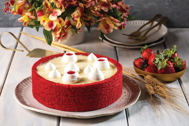 שארלוט בביסקוטי