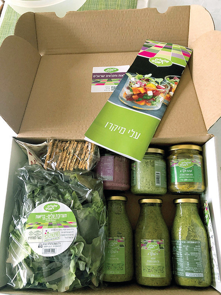 מארז עלי מיקרו