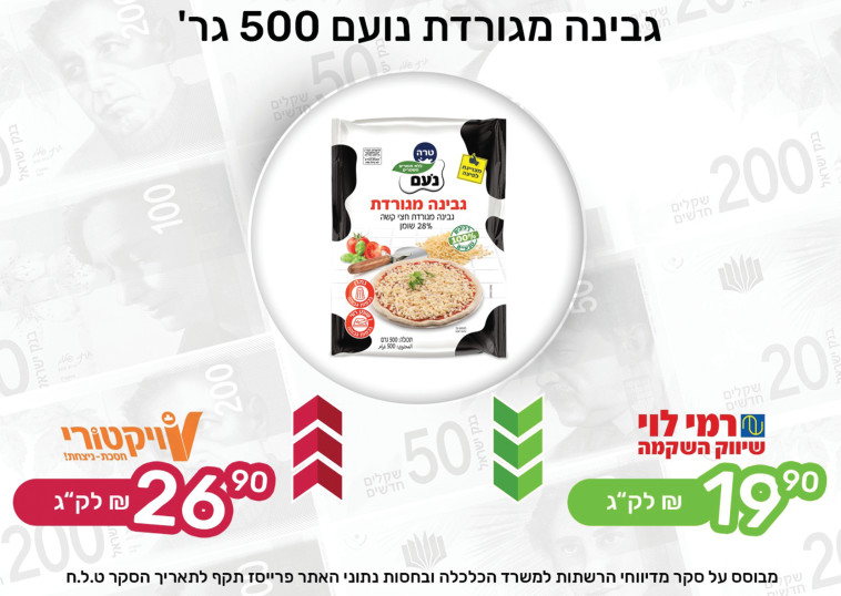 גבינה מגורדת נועם