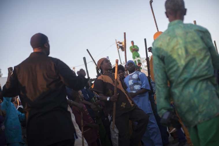 העבריים בדימונה 