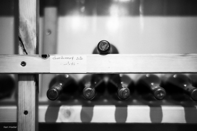 יקב תל, רמת הגולן