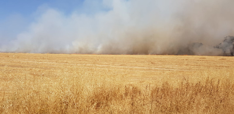 סיכום השבת: שריפות בעוטף עקב בלוני תבערה, חשש להסלמה ...