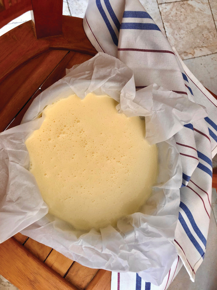 עוגת גבינה באסקית (צילום: פסקל פרץ-רובין)