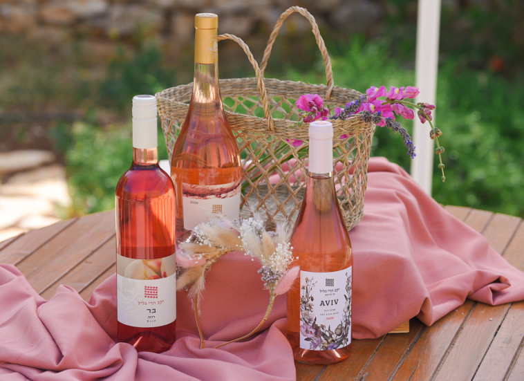 מארז שבועות של יקב הרי גליל