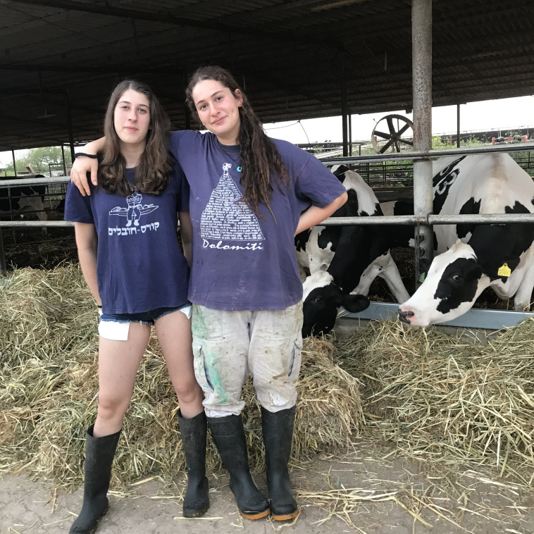 ענבר וענת יריב