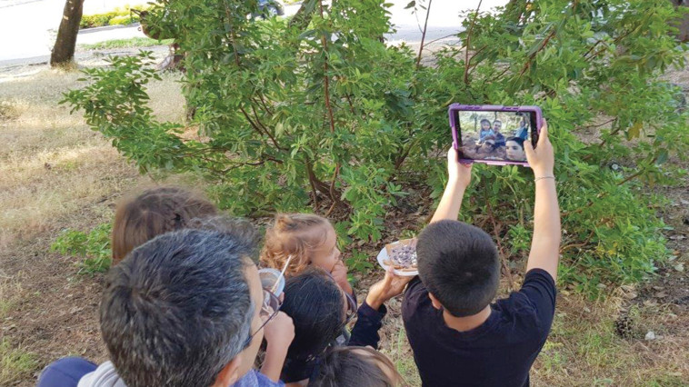 מי הזיז את הגבינה שלי