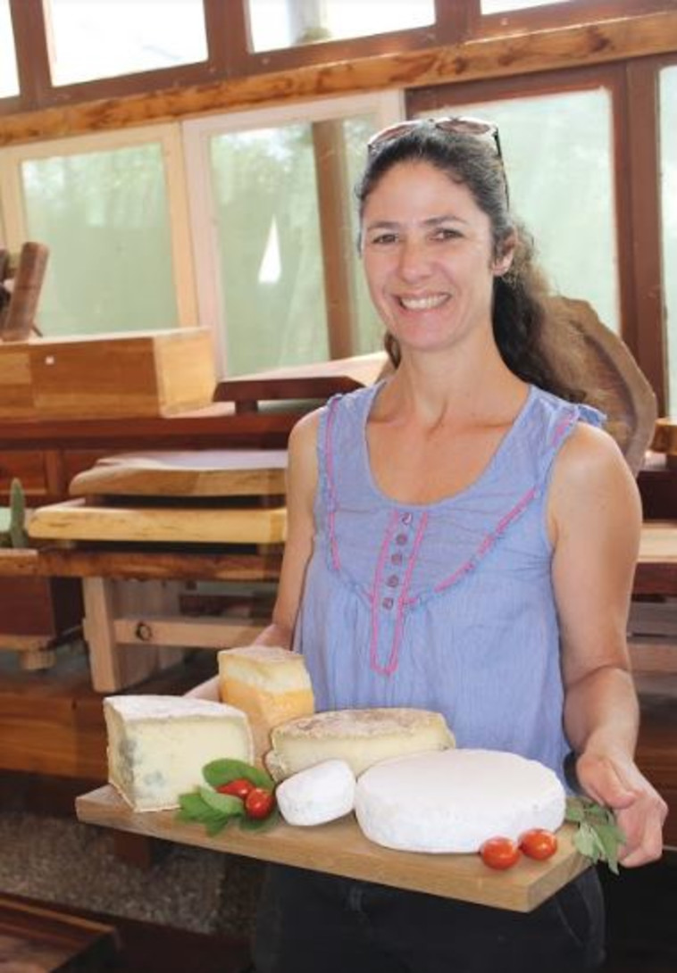 צאלה גורודנצ'יק