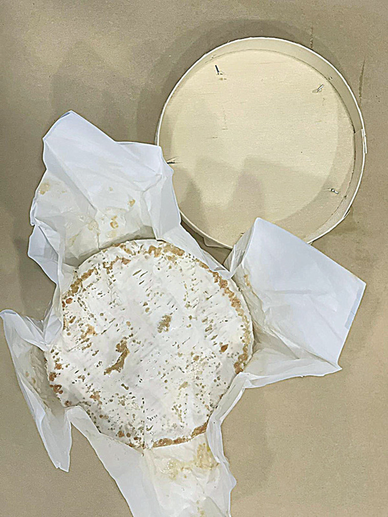 גבינת קממבר