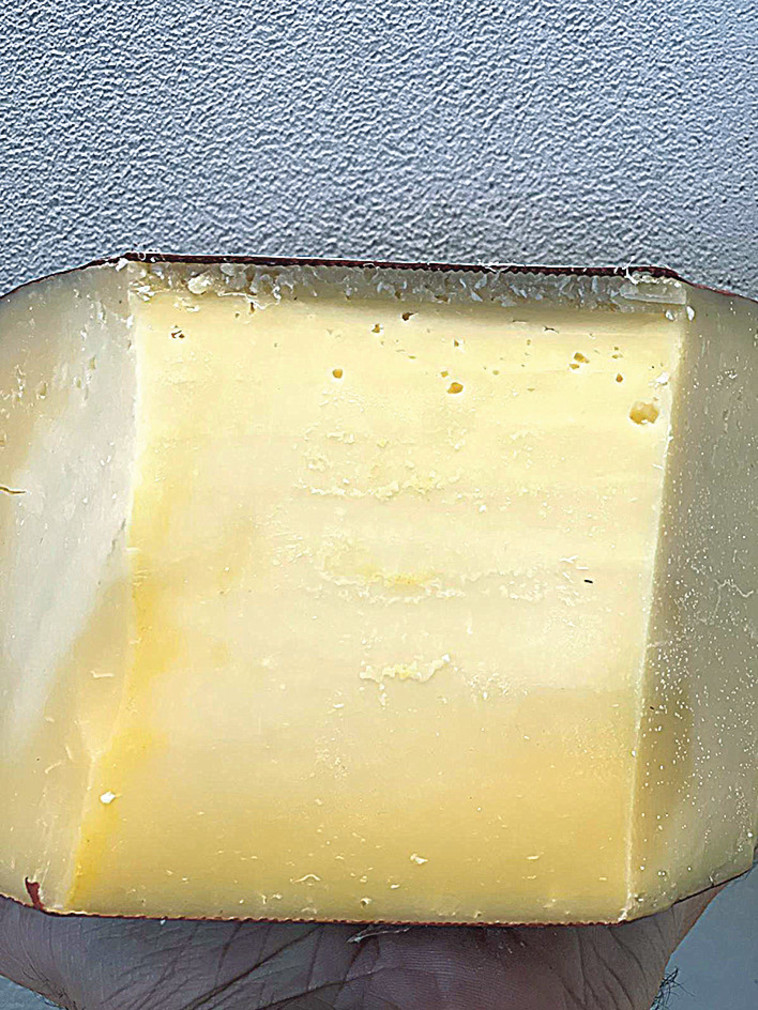 גבינת גרוייר (צילום: אליאס מטר)
