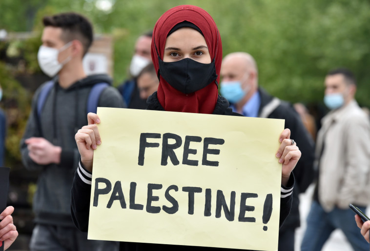 הפגנות פרו פלסטיניות בקוסובו (צילום: REUTERS/Laura Hasani)