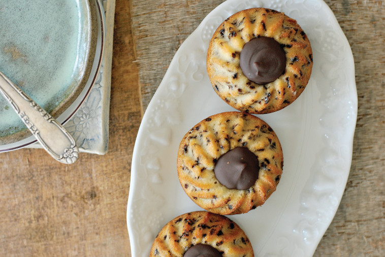 טיגריס עם לב שוקולד