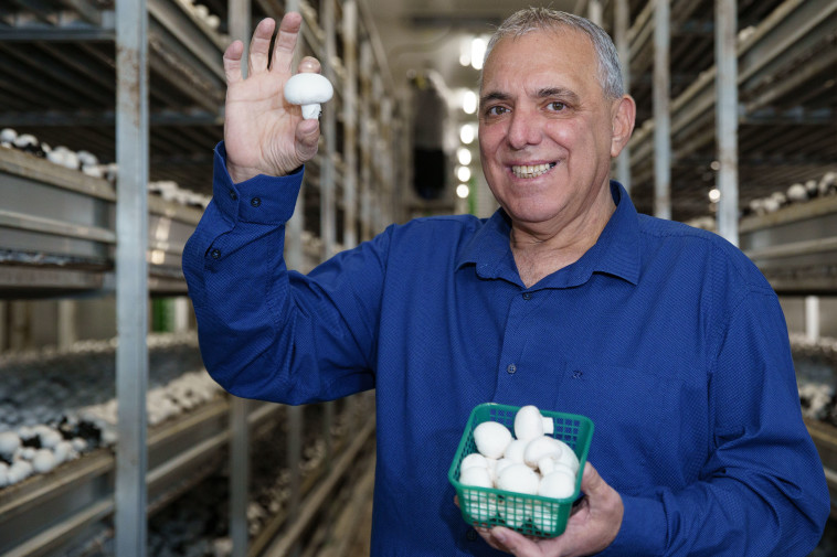 רמו בן שושן