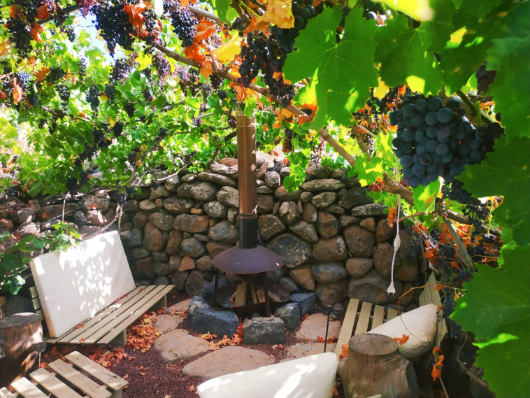 הצימרים של דוד פלג