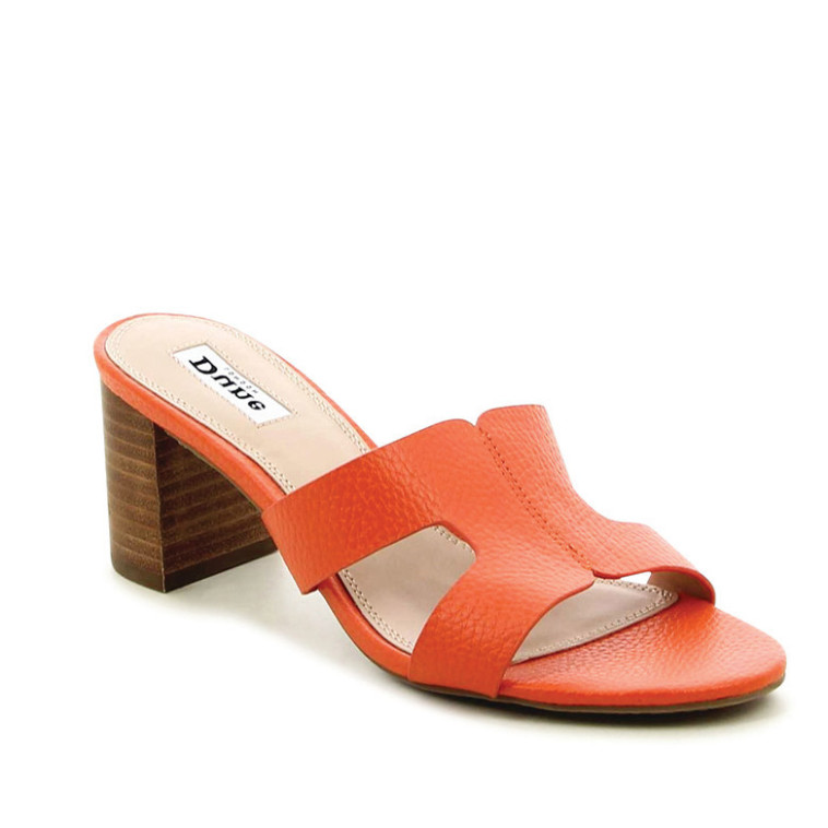 שואו אוף - מחיר 349.9 ש''ח 