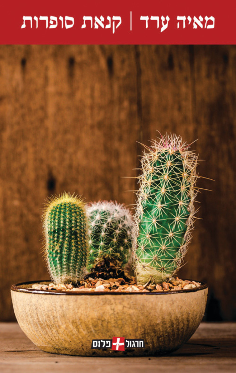 ''קנאת סופרות'' מאת מאיה ערד 
