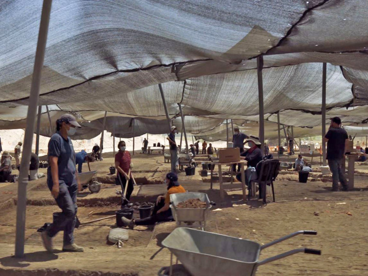 חפירת רשות העתיקות ביבנה