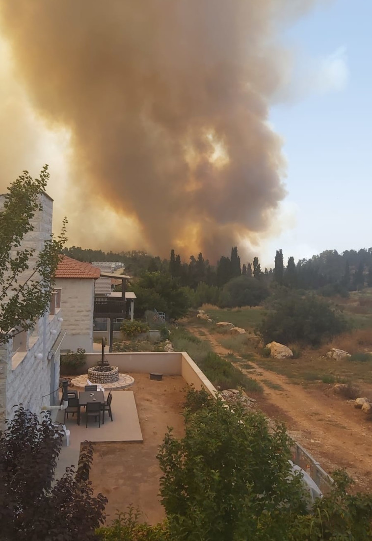 השריפה סמוך לנווה אילן (צילום: דני זקן)