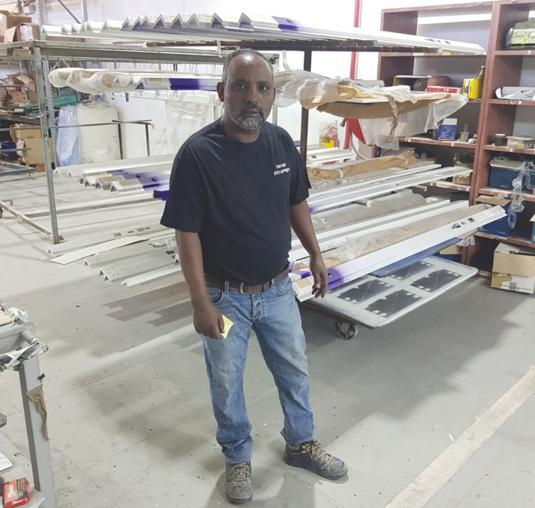 מצבעה לזיווד