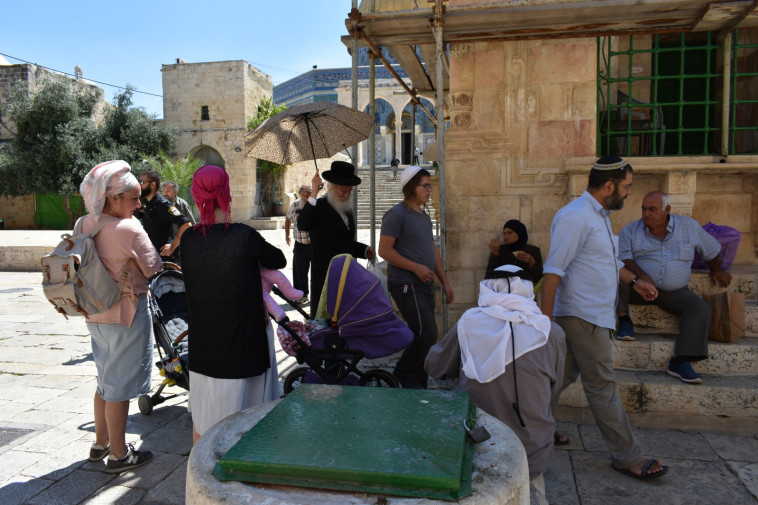 יהודים בהר הבית