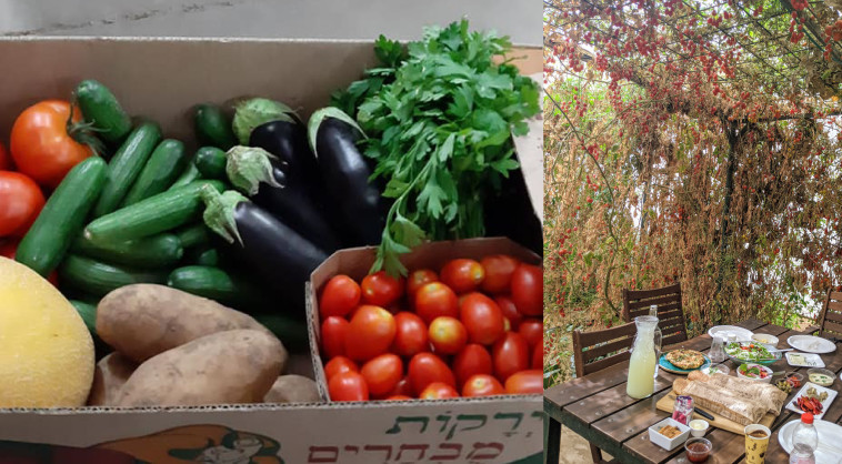 פינה קסומה בגן ירק וארגז של מלוא הטנא