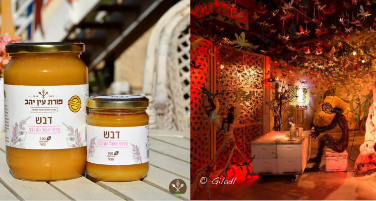 מכוורת פורת, מרכז המבקרים