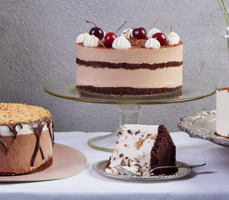 עוגות הגלידה של שטפן