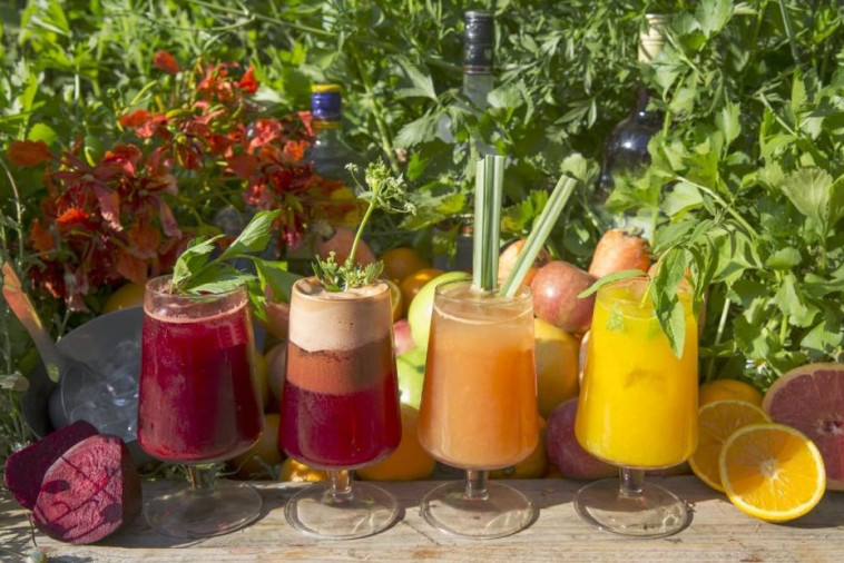 מיצי מיאו קוקטיילים