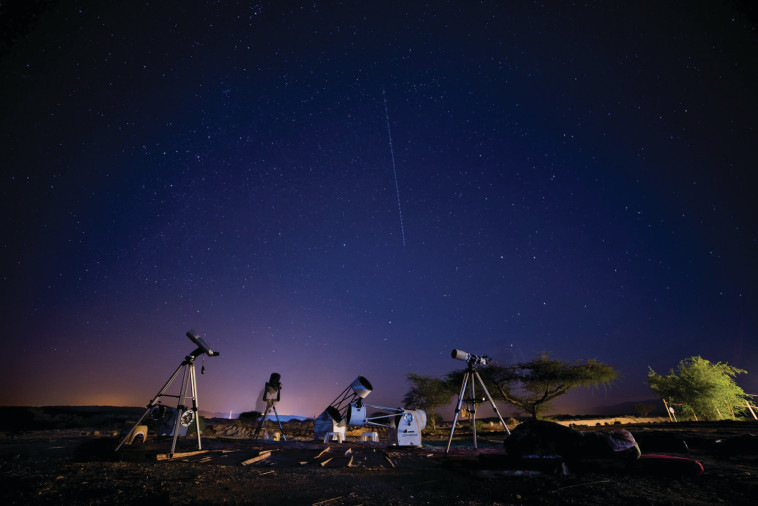 לילות כוכבים בפארק תמנע