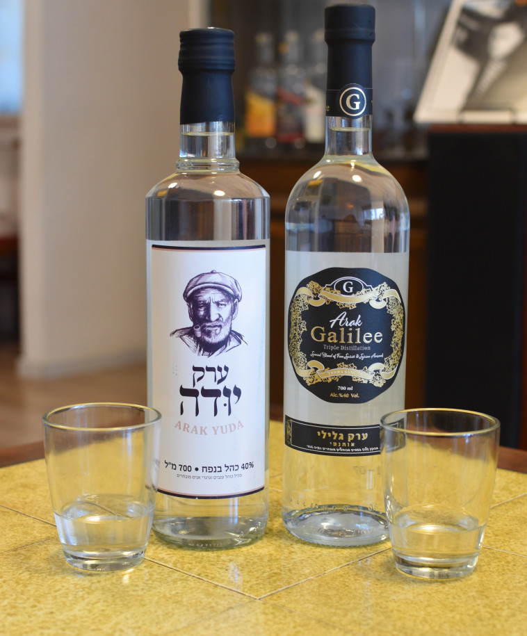 ערק גלילי וערק יודה 