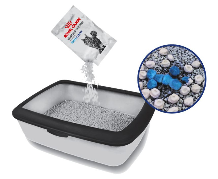 המטוריה_דטקשן של רויאל קנין