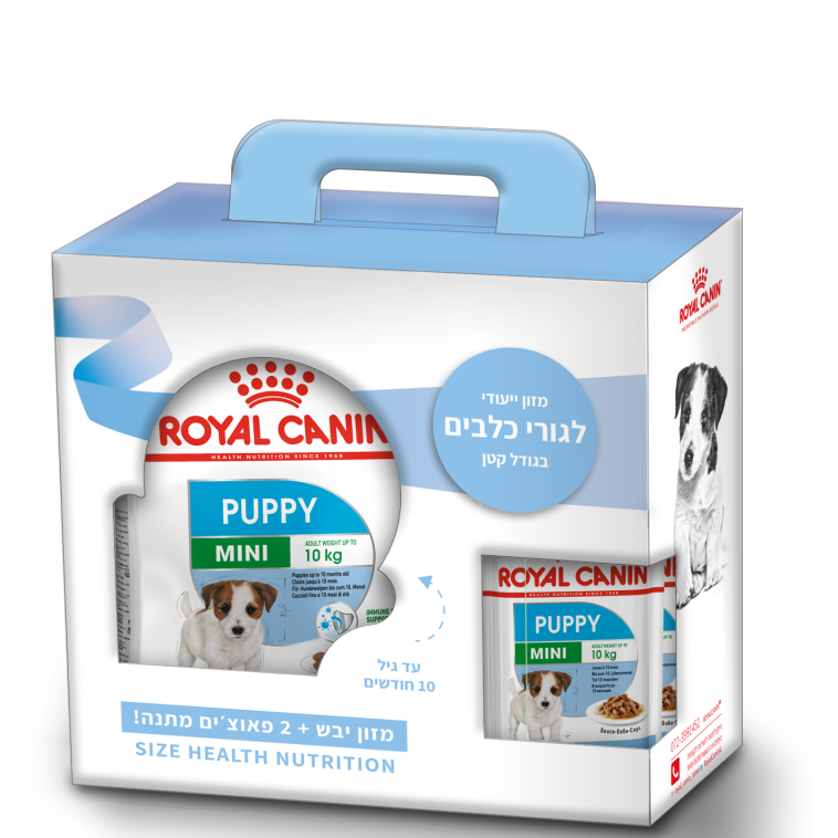 קיט אוכל לגור החדש שלכם 