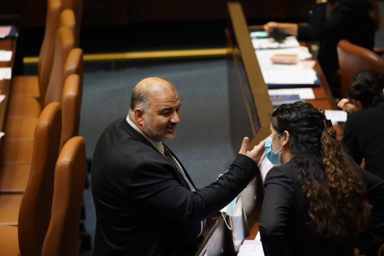 מנסור עבאס, שרן השכל