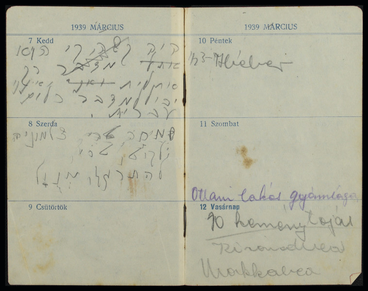 יומן כיס של חנה סנש