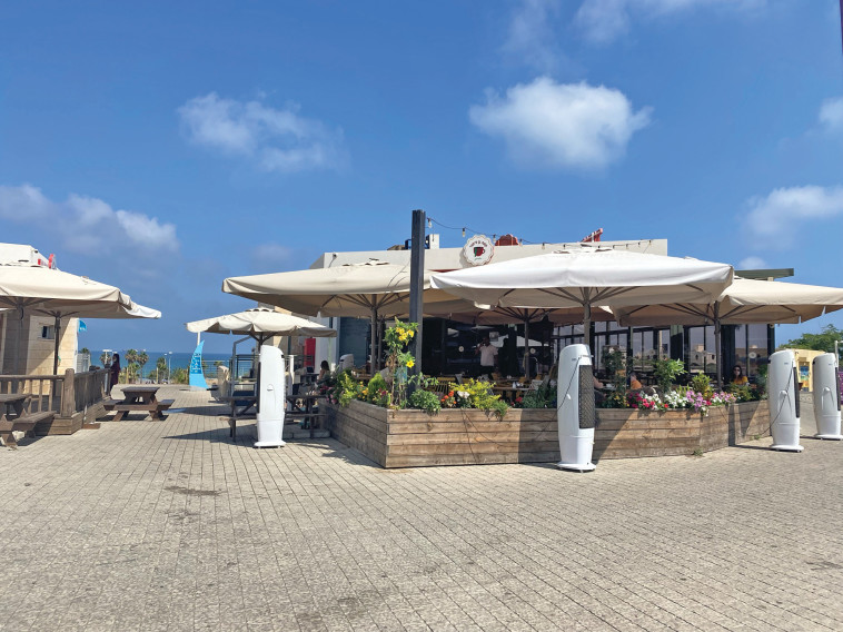 קפה גן סיפור