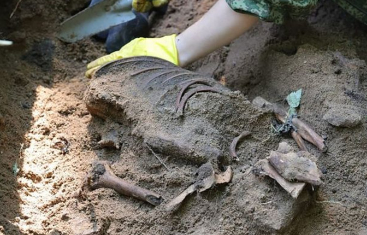 עצמות הקורבנות בקבר האחים שנחשף ברוסיה