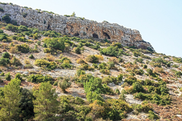 מערות אורנית 