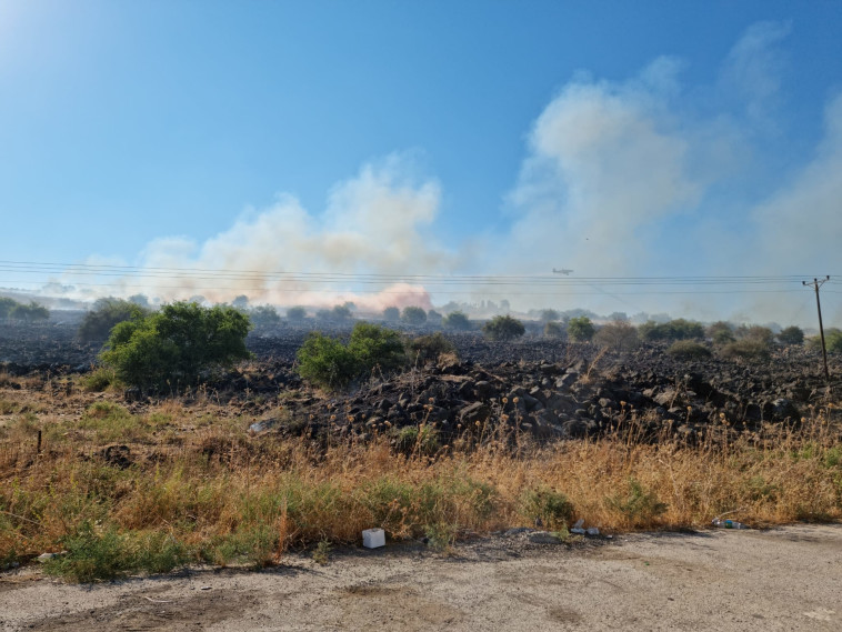 שריפה באזור פארק הירדן (צילום: דוברות כבאות והצלה לישראל מחוז צפון)